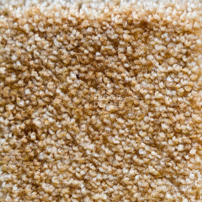 Ковролин AW Masquerade Palio 38 фото 1 | FLOORDEALER